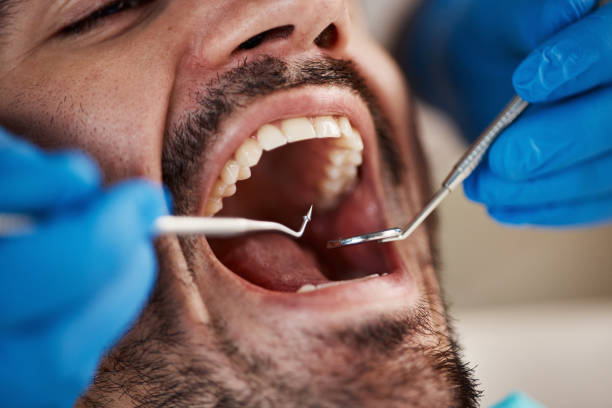 Best Urgent Dental Care  in Powderly, TX